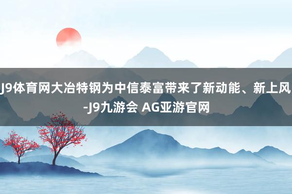 J9体育网大冶特钢为中信泰富带来了新动能、新上风-J9九游会 AG亚游官网