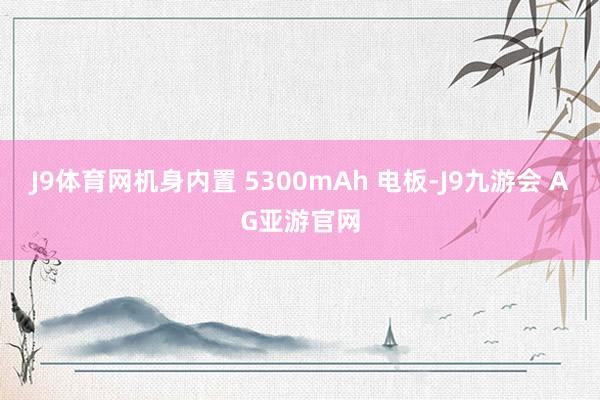 J9体育网机身内置 5300mAh 电板-J9九游会 AG亚游官网