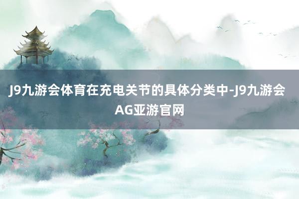 J9九游会体育在充电关节的具体分类中-J9九游会 AG亚游官网