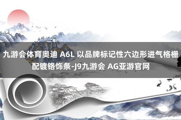 九游会体育奥迪 A6L 以品牌标记性六边形进气格栅配镀铬饰条-J9九游会 AG亚游官网