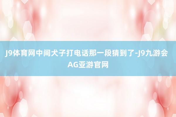 J9体育网中间犬子打电话那一段猜到了-J9九游会 AG亚游官网