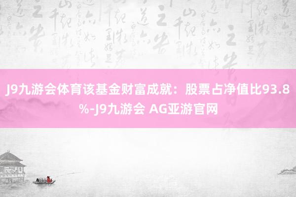 J9九游会体育该基金财富成就：股票占净值比93.8%-J9九游会 AG亚游官网