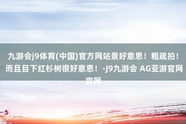 九游会j9体育(中国)官方网站景好意思！粗疏拍！ 而且目下红杉树很好意思！-J9九游会 AG亚游官网