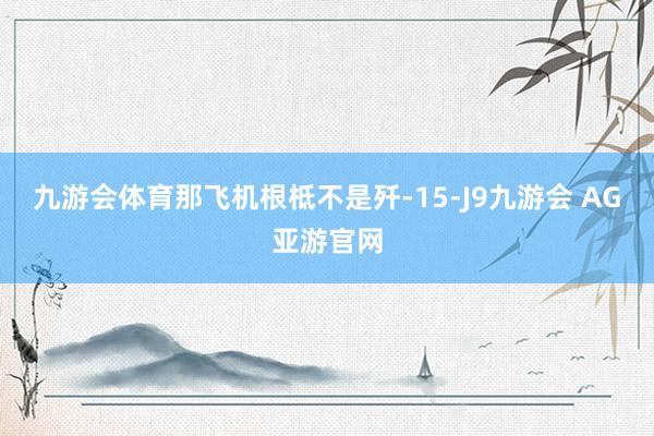 九游会体育那飞机根柢不是歼-15-J9九游会 AG亚游官网