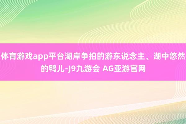 体育游戏app平台湖岸争拍的游东说念主、湖中悠然的鸭儿-J9九游会 AG亚游官网