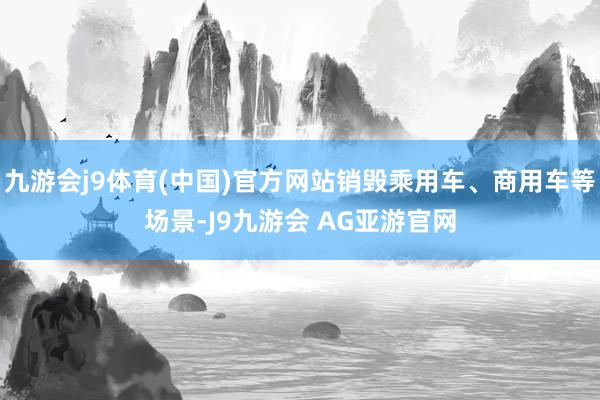 九游会j9体育(中国)官方网站销毁乘用车、商用车等场景-J9九游会 AG亚游官网