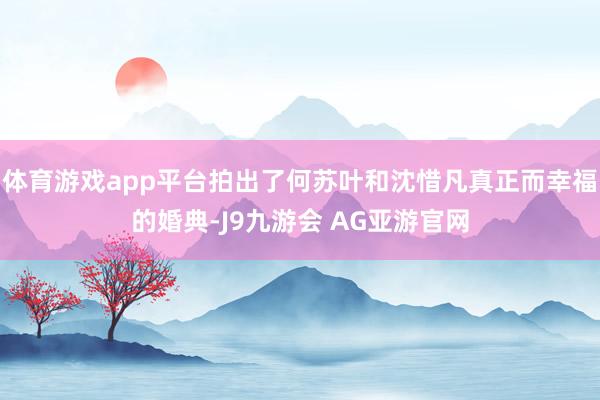 体育游戏app平台拍出了何苏叶和沈惜凡真正而幸福的婚典-J9九游会 AG亚游官网
